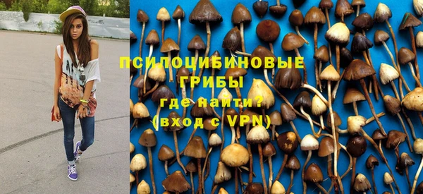 твердый Володарск