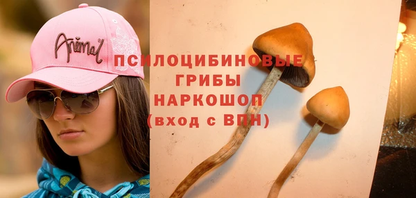 твердый Володарск