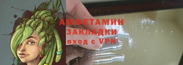 индика Волоколамск