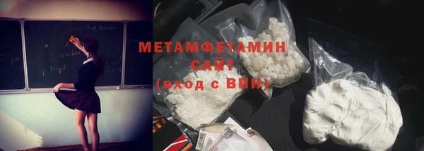 индика Волоколамск