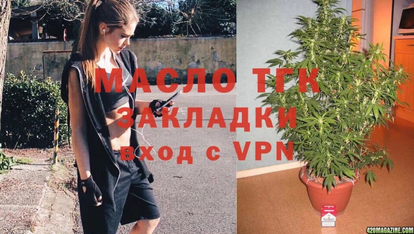 индика Волоколамск