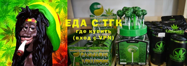 индика Волоколамск