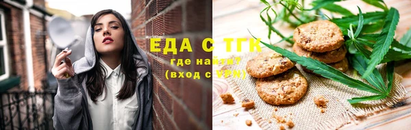 индика Волоколамск